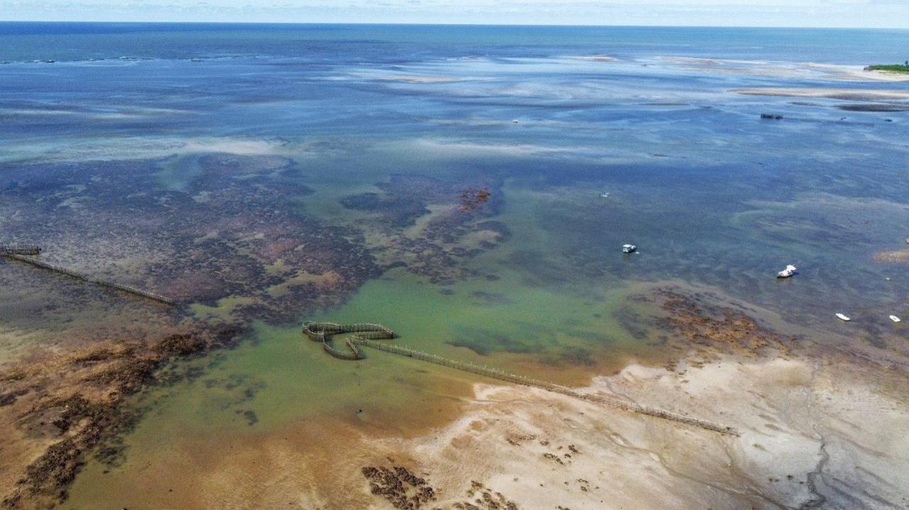 Pousada Villa Marceneiro Beach Passo de Camarajibe Eksteriør billede
